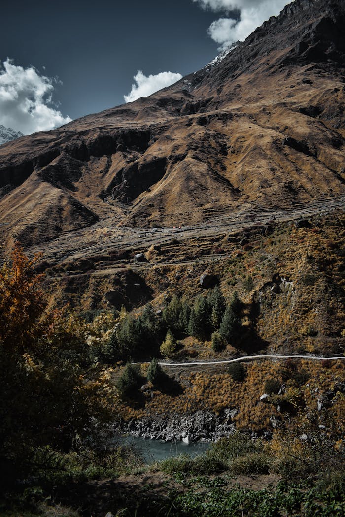 services-04 Capture the majestic autumn scenery in Badrinath, India with rolling mountains and scenic beauty.